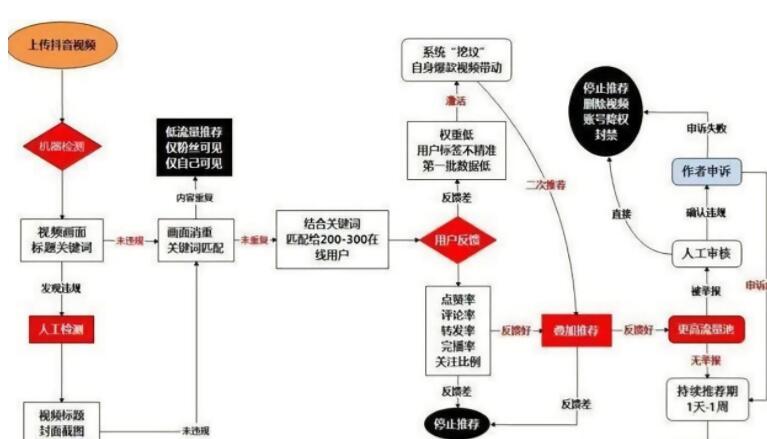 Newbies can easily and quickly master the core skills of Douyin recommendation algorithm - Picture 2 - Xiaoqi Douyin training